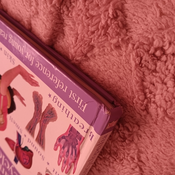 First Human Body Encyclopedia Book - Picture 7 of 11